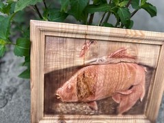 Carpfishing Fisherman Catches Carp Large Wood Carving Multicolor Picture Woodwor