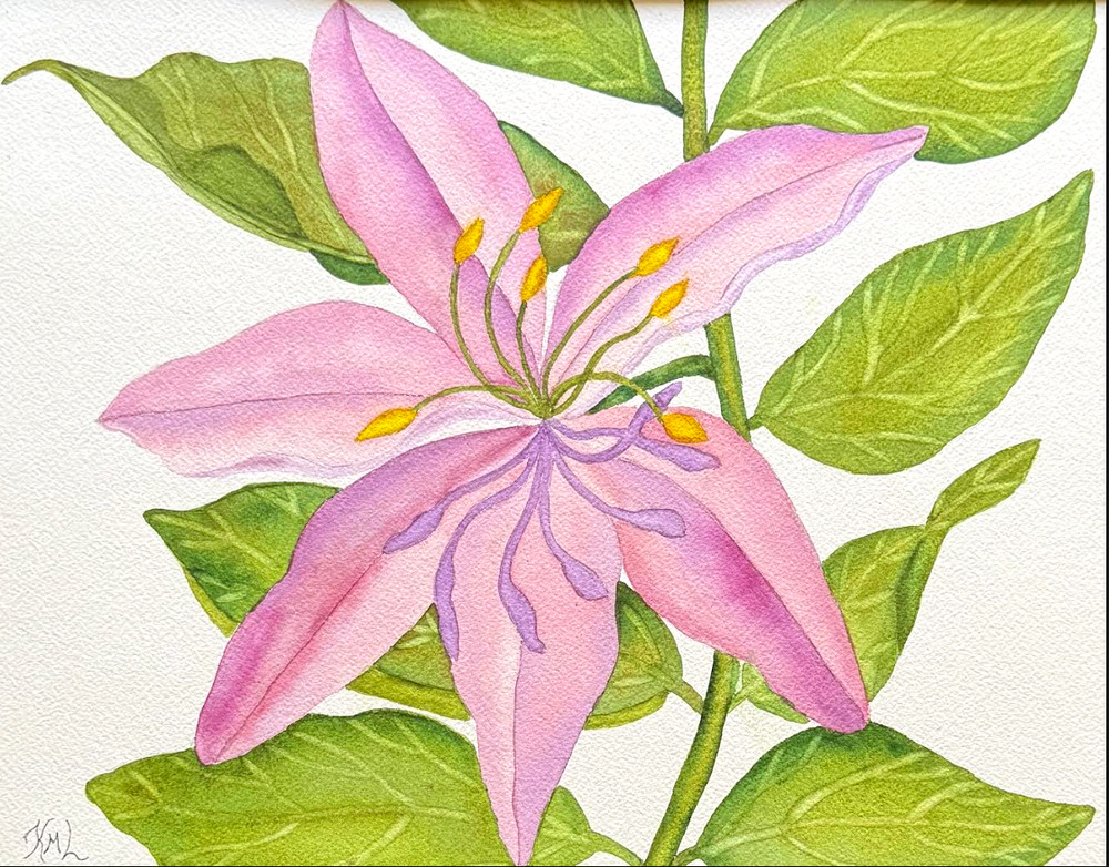 PAINTING WATERCOLOR ART LILY FLOWER PINK PURPLE GREEN 11 X14 DOUBLE MAT 16X20