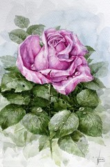 Rose Original Watercolor Painting Floral Artwork Pink Purple Flower Wall Art