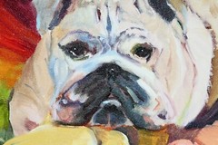 BETH GANDY “Bulldog Portrait” Painting – Oil on Canvas 12 x 12 inch – SO CUTE