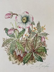 Vittorio Guidotti Watercolor Painting From Italy Italian Artist Signed “Floral”