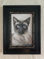 Original Oil Painting- Siamese Cat