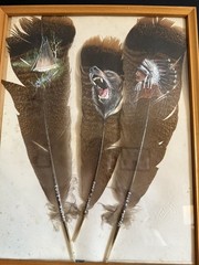 3- Turkey feathers painted and signed Indian tee pee, black bear & Indian 2002