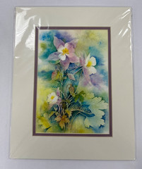 Colorado Columbines I by Pat Oglesby – Watercolor Print – CO Artist