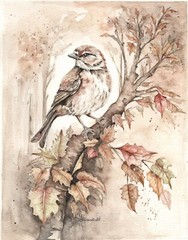 Bird Art Detailed Sparrow Fall Leaves Portrait Watercolor, Signed Matted 8 X 10