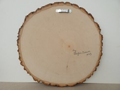Hand Painted Milbert’s Tortoiseshell Butterfly On Live Edge Basswood By Phyllis