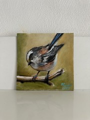 Oil Painting Little Bird 15x15cm Gift Bird On Brunch Wall Art Fine Art