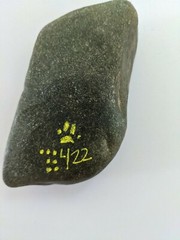 HAND PAINTED RIVER STONE ART “ Animal Fox“ by Yellow Paw Collectible Rocks