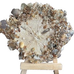 Original Art Mini Sand dollar/Shell Resin #resin Mini-Shell ocean