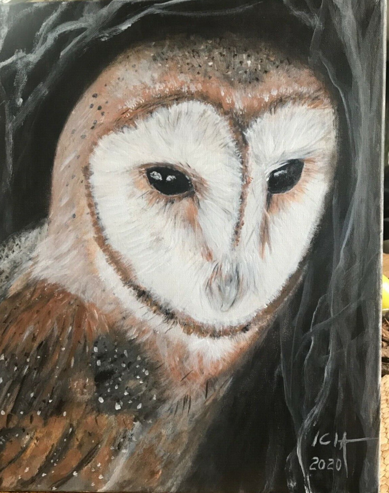 Original acrylic painting barn owl on canvas 16x20x0.5 in, wall art