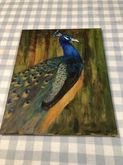 Original Beautiful Peacock Painting Oil In Canvas 16×20 Inches Unframed