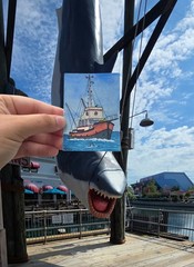 ACEO Original Watercolor Painting PRINT We’re Gonna Need A Bigger Boat by Emily