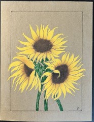 Original Realism Sunflower Floral Painting on Recycled Board, Unframed 8.5”x11”