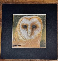 Original Colored Pencil Framed Drawing Signed Snowy Owl: „Hedwig“ 10x10in