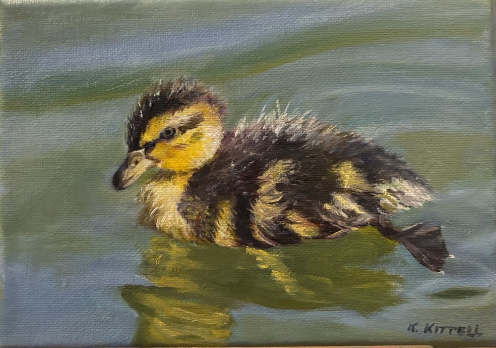 Art Original oil on Stretched Canvas, Duckling