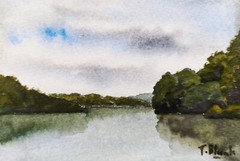 ORIGINAL WATERCOLOUR – Bislicher Insel, Lower Rhine