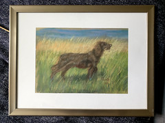 ::PASTEL DOG SETTER ON THE COAST FIELD HUNTING DOG SIGNED DATED 07 FRAME