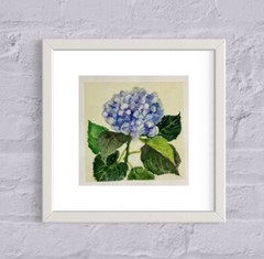 Original watercolor painting Blue hydrangea Floral Botanical wall art 7 x 7