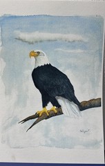 Original Watercolor Artwork Bald Eagle 18″x12″ Signed