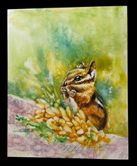 Chipmunk Watercolor Artwork On Premium Canvas Board Hand-Signed By Artist Vibran