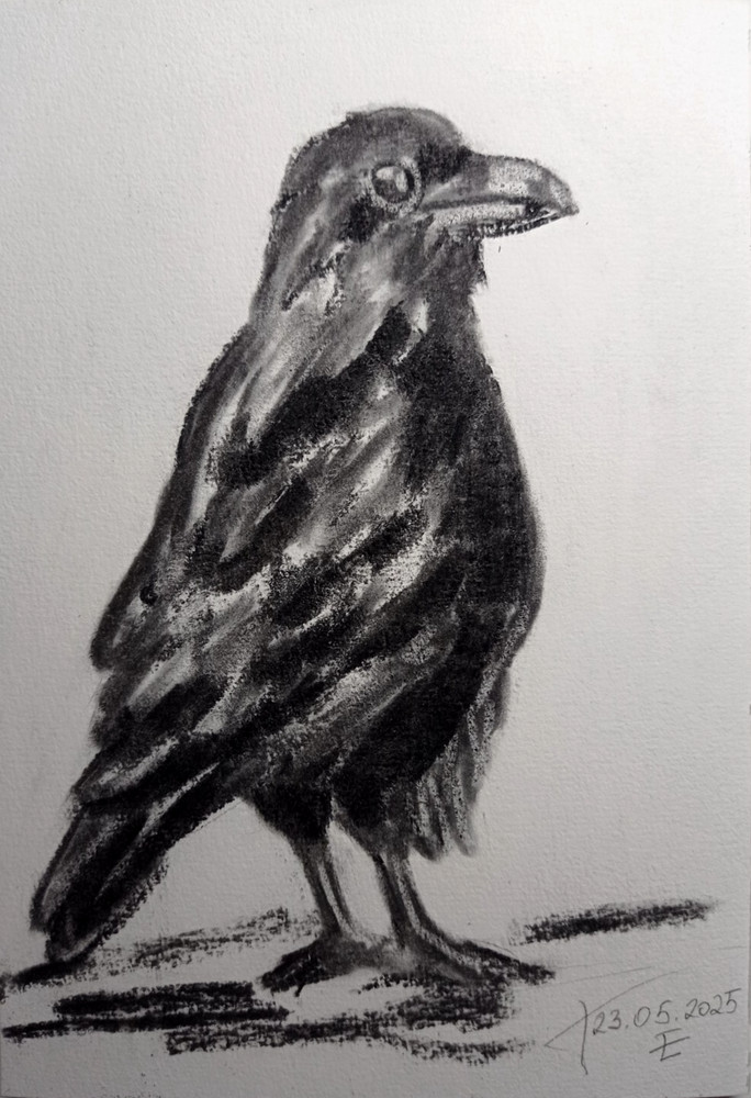 Original Painting Black raven Drawing Wall Art 6 x 8″