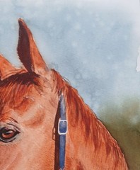 ORIGINAL Watercolor Painting “ Alazán“ 9″ X 11″