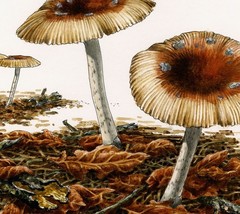 Basil Smith (UK,1925-2010) watercolor painting 141120