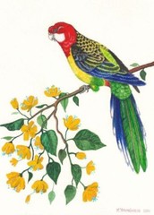 ACEO PRINT OF PAINTING RYTA PARROT TROPICAL BIRD WILDLIFE FLOWER REALISM ART 🌺