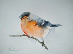 Bullfinch, Birds, Watercolor artwork, Handmade, Original painting on paper