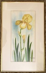 Artist NELLY DEACHMAN Original IRIS Watercolor Painting x2 ORANGE & YELLOW PAIR