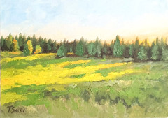 ORIGINAL Oil Painting Impressionism Oregon Landscape Green Grass Sun Field 5″x7″