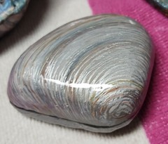 One Of A Kind Summer Beach Gift Garden Sea Shells Painted Rocks by jade.