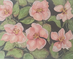 PAINTING WATERCOLOR ORIGINAL ART APPLE FLOWER PINK 11 X14 DOUBLE WHITE MAT 16X20