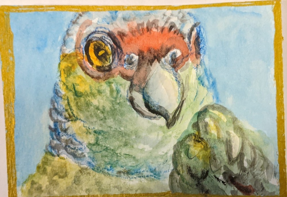 ACEO Original watercolor Painting markers Signed Colorful Parrot