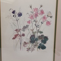 Columbine Flowers by artist Mads Stage Framed 16×20 Watercolor Style Butterfly