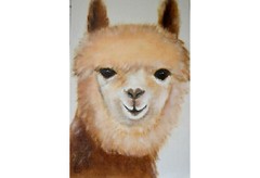 Original oil painting Alpaca Portrait Small wall art Animals 100% Handmade 8×12