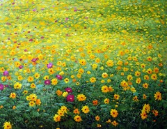 Floral & Gardens Oil Painting – Fields of Yellow Flowers – size 36″x28″