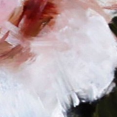 Demenko Natalia abstract Flowers PINK PEONY Oil painting UKRAINE