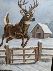 Original Acrylic Painting of Whitetail Deer