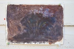 Stars and Eucalyptus Watercolor Impressionism John Kilduff 7″x10″