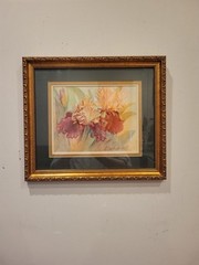 Framed Watercolor Iris Flower Painting Signed W. Winchester 14×16