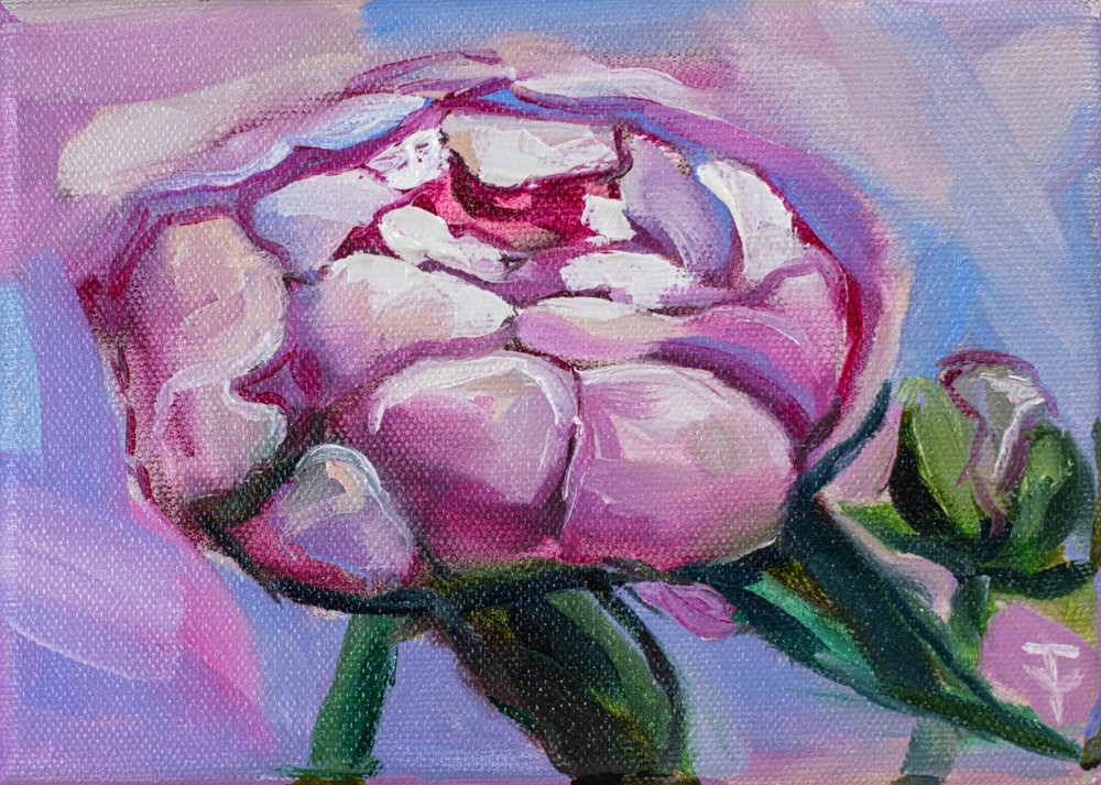 ORIGINAL Art oil painting Peony art Flower Wall Art floral artwork Peonies 5×7″