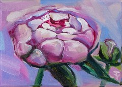 ORIGINAL Art oil painting Peony art Flower Wall Art floral artwork Peonies 5×7″