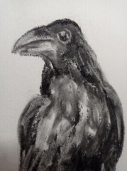 Original Painting Black raven Drawing Wall Art 6 x 8″