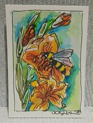 Bee on Gladiolus — OOAK Watercolor Scribble ACEO • Bees & Blooms Series