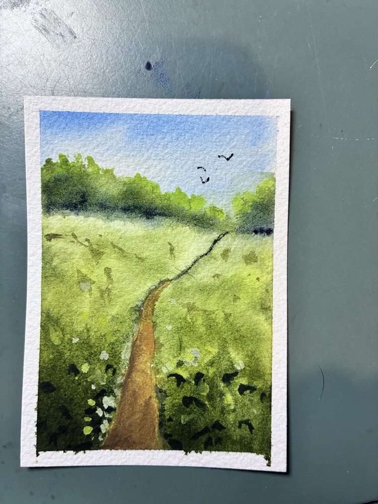 Mountain Meadow trail hiking Original Watercolor ACEO Painting Alpine Landscape
