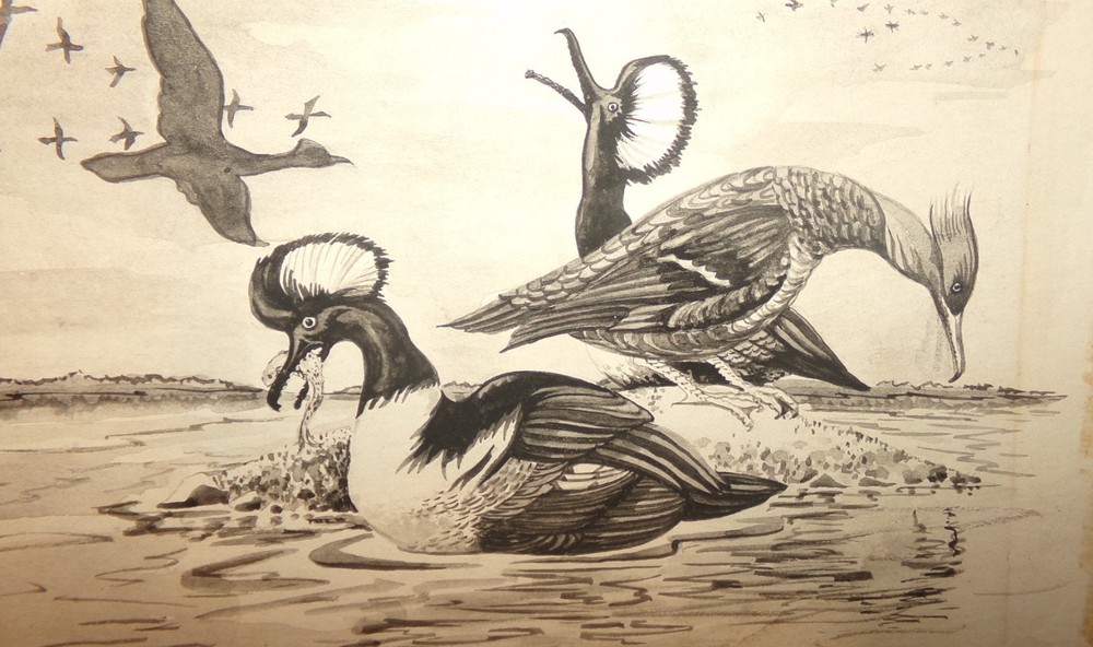 ORIGNAL VINTAGE SIGNED BARBARA BACKSTROM HOODED MERGANSER DUCKS ARTWORK PAINTING