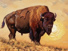 Original 36x36Oil Painting Majestic American Bison Buffalo (CUSTOM ORDER)