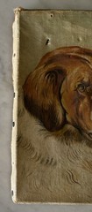 Antique Original Saint Bernard Oil Painting – Unframed – READ