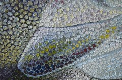 An oil painting titled „Gray Owl.“ The canvas size is 30 by 30 centimeters.